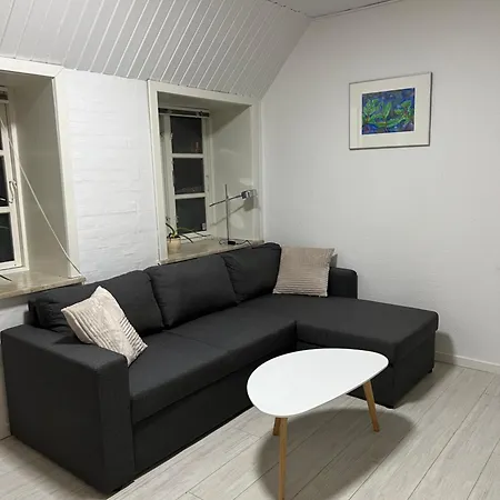 With Wifi, Close To Center, And Forrest Apartment