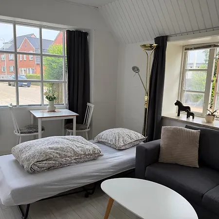 With Wifi, Close To Center, And Forrest Apartment Aabenraa