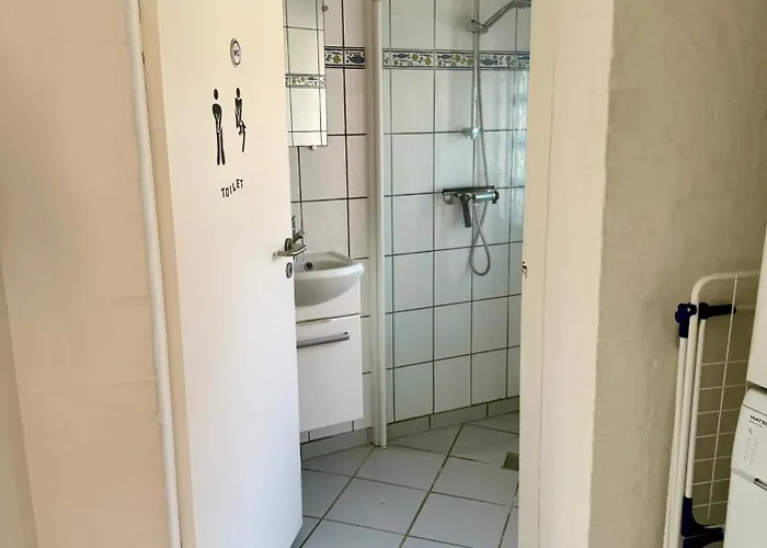 With Wifi, Close To Center, And Forrest